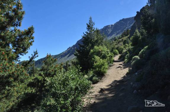 Início da trilha para o Cerro Piltriquitrón, em El Bolsón, na Argentina